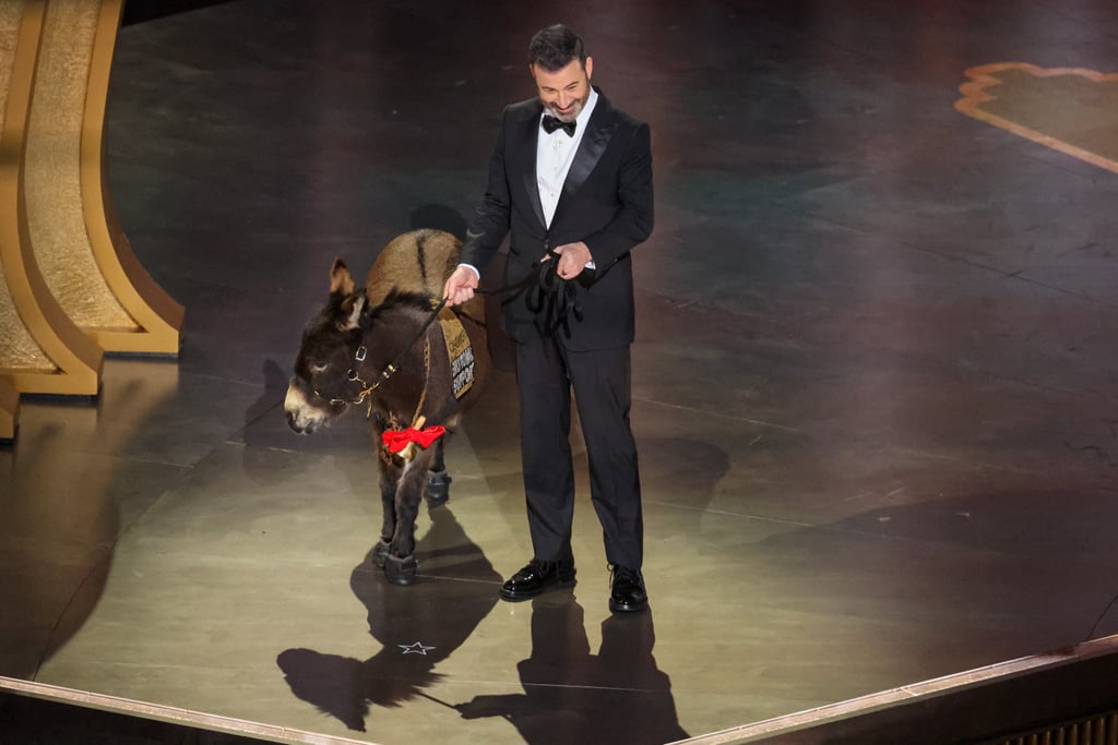 The 2023 Oscars saw their fair share of noteworthy first-time attendees; from Paul Mescal to Pedro Pascal, plenty of stars made their debut at the March 12 event. But one attendee in particular enjoyed her first Oscars in style: a donkey — though she apparently wasn't exactly who the event's host claimed she was.
In the middle of the event, host Jimmy Kimmel brought a donkey wearing a bedazzled emotional-support-animal vest onto the stage and informed the audience that it was Jenny, a donkey who played a major role in "The Banshees of Inisherin." "Not only is Jenny an actor — she's a certified emotional-support donkey. Or at least that's what we told the airline to get her on the plane from Ireland," Kimmel quipped. "So if you're feeling upset or you didn't win or you're anxious or maybe you just love mules, feel free to come up and give her a hug." He went on to point out some of Jenny's Oscar-nominated "The Banshees of Inisherin" costars, Colin Farrell and Brendan Gleeson. 
Jenny's scenes with Farrell were some of the film's most impactful and brought the 3-year-old animal widespread acclaim. However, it turns out the donkey Kimmel brought on stage wasn't actually Jenny after all. Since wrapping filming, Jenny has apparently been enjoying an early retirement in a secret location — and she wasn't about to interrupt her retirement for an overseas trip. "The reason why she's in a secret location [is] because we wouldn't want her to be used for any commercial gain, but to live the life she deserves," trainer Megan Hines told the Sunday World on March 3.
Backstage at the Oscars, "The Banshees of Inisherin" director Martin McDonagh confirmed that the donkey wasn't actually the same one who appeared in the film. "It wasn't Jenny. We never would have allowed that to happen," he said, per the Los Angeles Times. Kerry Condon, who was nominated for best supporting actress for her role in the film, also said it wasn't the real Jenny. "No! All the way from Ireland? 'Course not!" she said, per the outlet.
"The Banshees of Inisherin" received nine nominations, including best picture, best supporting actor for Gleeson and Barry Keoghan, and best actor for Farrell. Unfortunately, it ended the night empty-handed.
Check out photos and videos of the Jenny stand-in's appearance ahead.

    Related:

            
            
                                    
                            

            The Full List of 2023 Oscars Winners