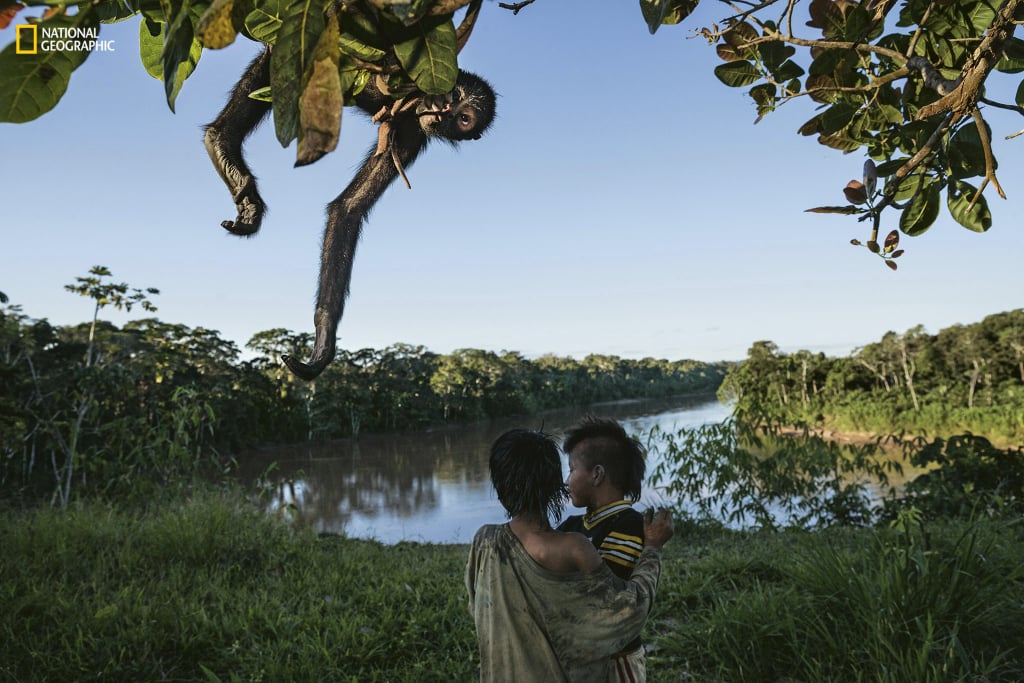 Peru's Manú Forest