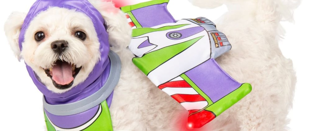 Toy Story Buzz and Woody Costumes For Dogs