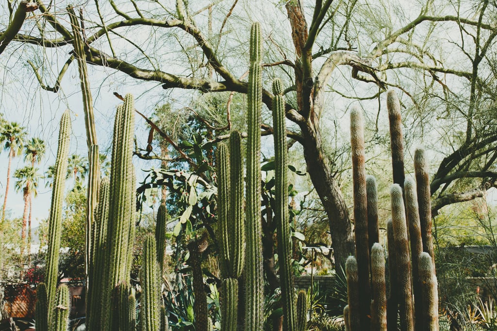 Trendy Palm Springs Wedding