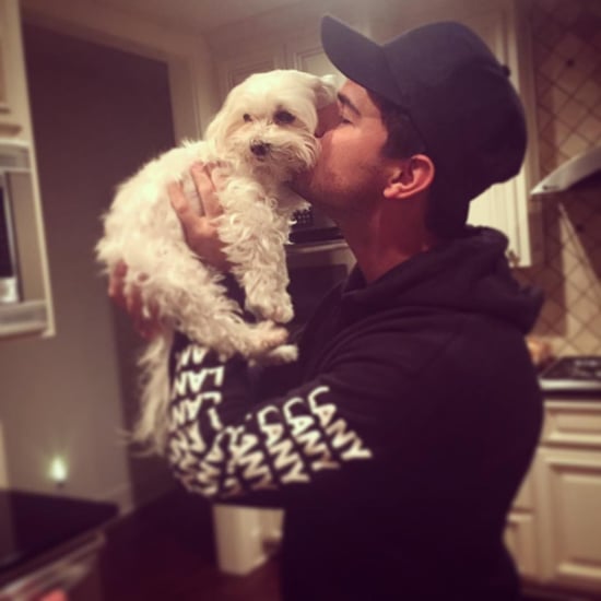 Taylor Lautner's Dog Roxy Dies