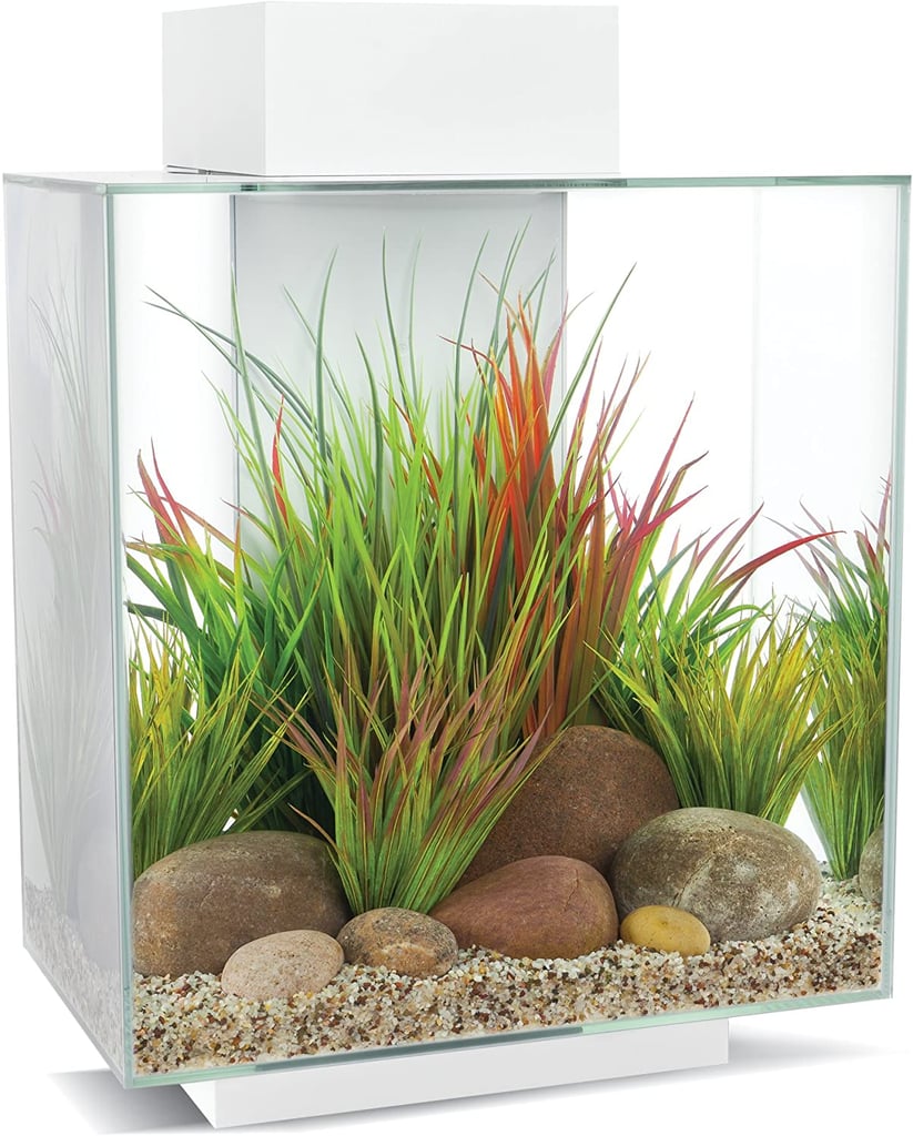 Fluval Edge 2.0 Aquarium Kit  20 Fish Tanks That Will Make Every