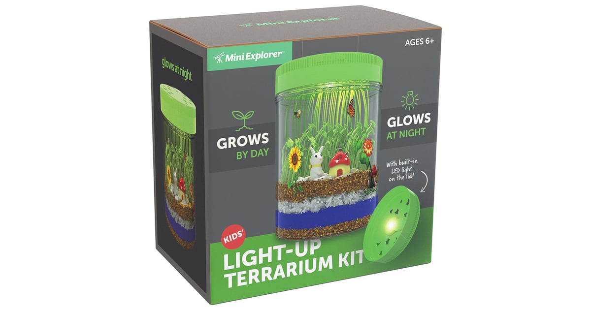 Mini Explorer 4 x 6 in Light-up Terrarium Kit with LED for sale online 