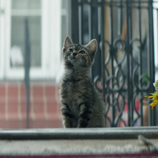 Key and Peele's Keanu Trailer