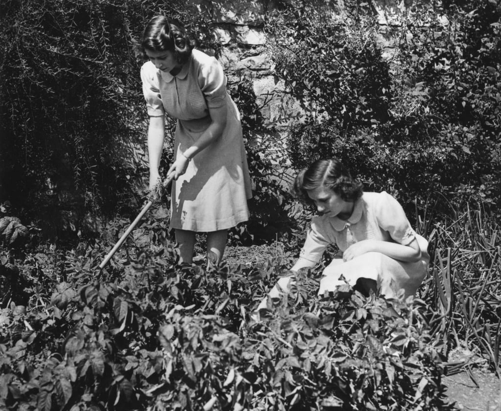 Elizabeth and Margaret worked on their garden as part of the government's "Dig For Victory" campaign in 1943.