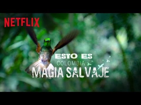 2015 Colombia: Wild Magic 2015 Colombia: Wild Magic