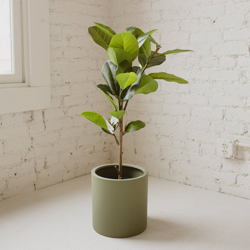 These Etsy Planters Will Give Your Plant Collection a Stylish Upgrade