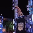 T. Rex + American Ninja Warrior = The Most Impressive Video You'll See All Day