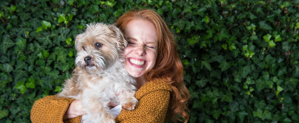 What to Know About Fostering a Dog During Coronavirus