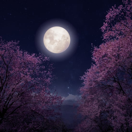 Flower Moon Spiritual Meaning 2024