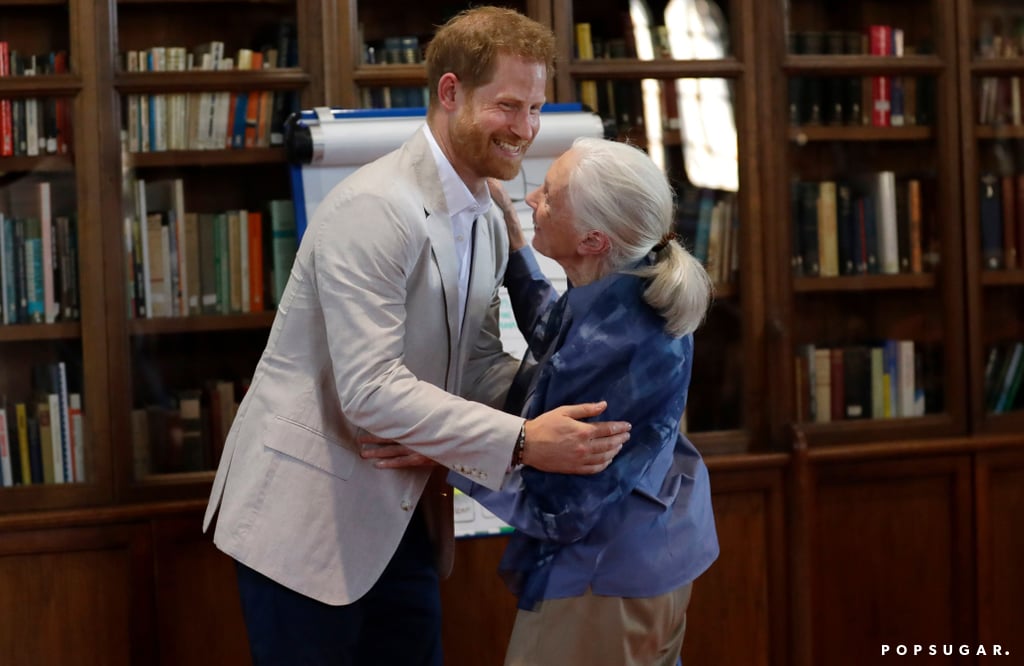 Prince Harry Meeting With Dr. Jane Goodall July 2019