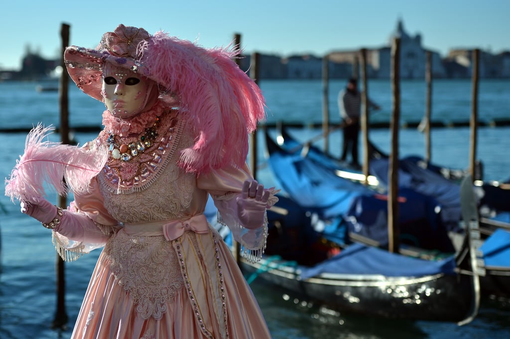 Venice Carnival 2014