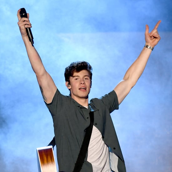 Shawn Mendes Song Lyrics Quiz