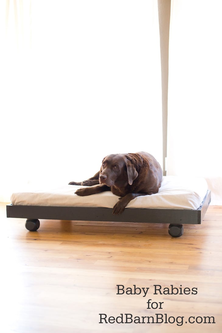 Upcycle Your Crib Mattress Into a DIY Dog Bed