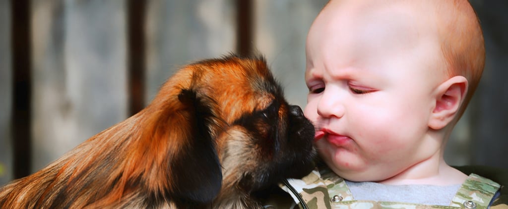 Videos of Babies and Dogs