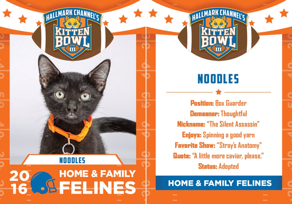 Kitten Bowl 2016