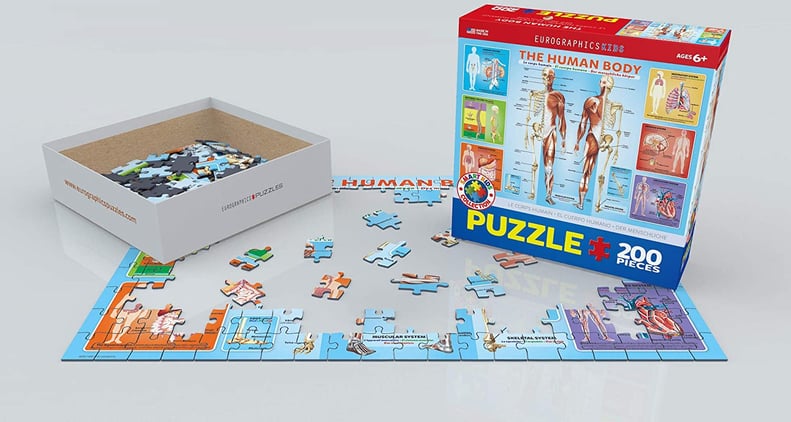 EuroGraphics Human Body Jigsaw Puzzle