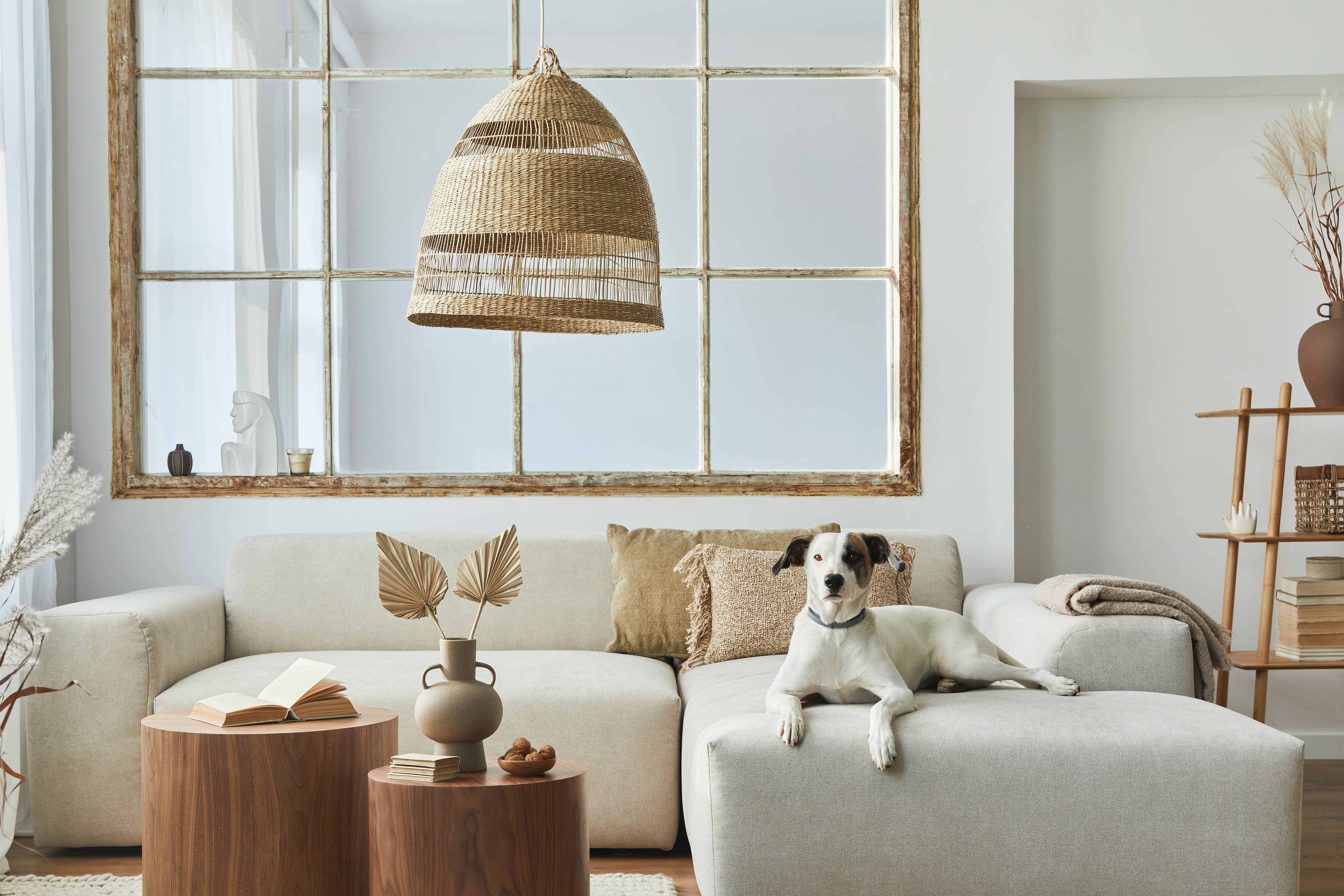 Our Top 10 Pet-Friendly Chic Home Accessories