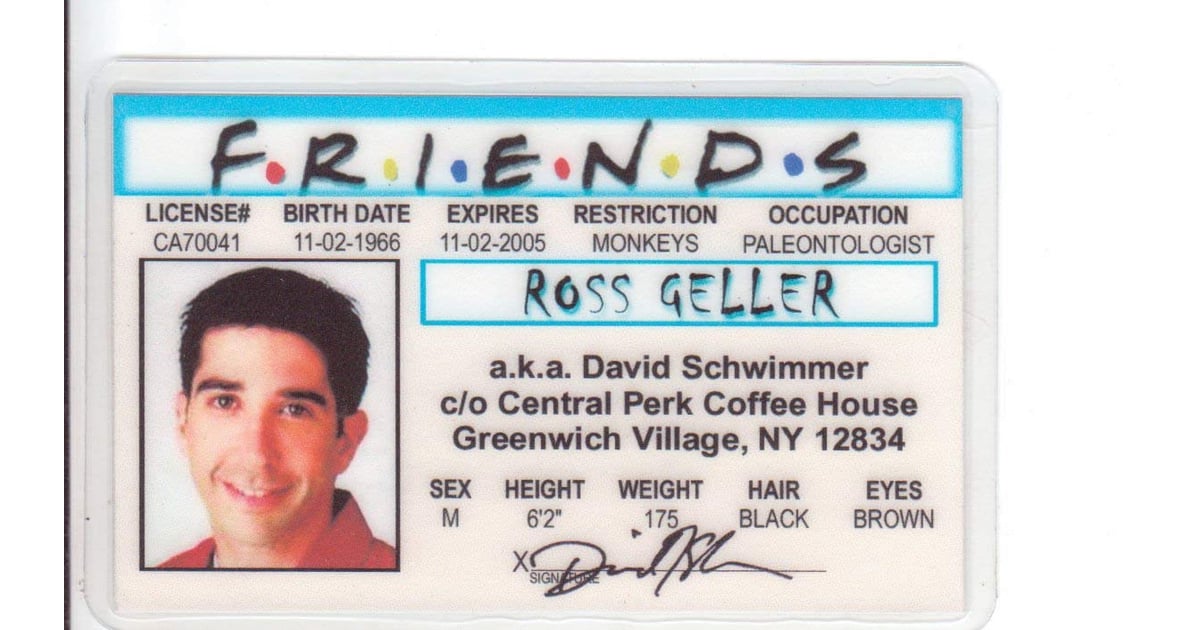 Ross Geller Novelty Drivers License Friends Products on Amazon POPSUGAR Entertainment Photo 21