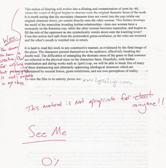 2 Girls, 1 Cup: A Student Essay