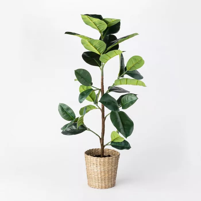 Threshold Artificial Rubber Leaf Tree in Pot