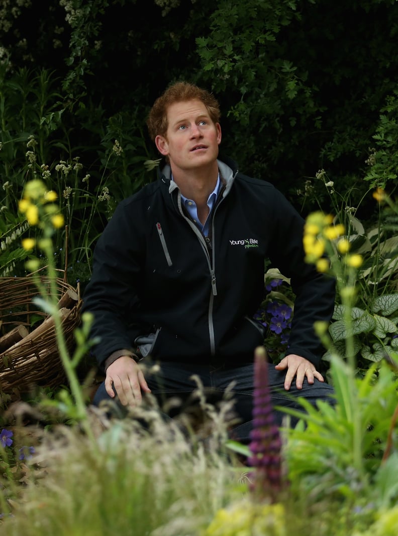 Getting Personal: Prince Harry