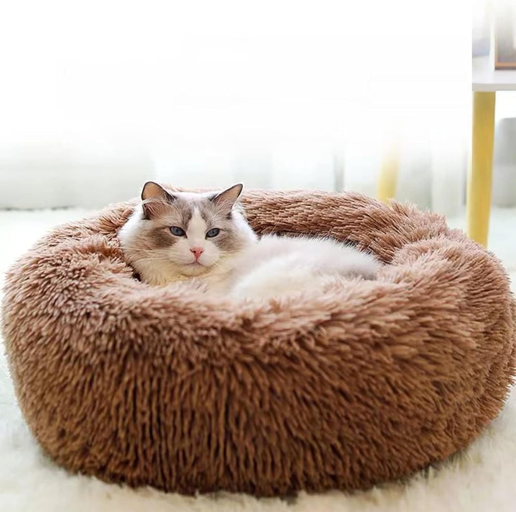 Best Dog Bed For Small Dogs (or Cats!)