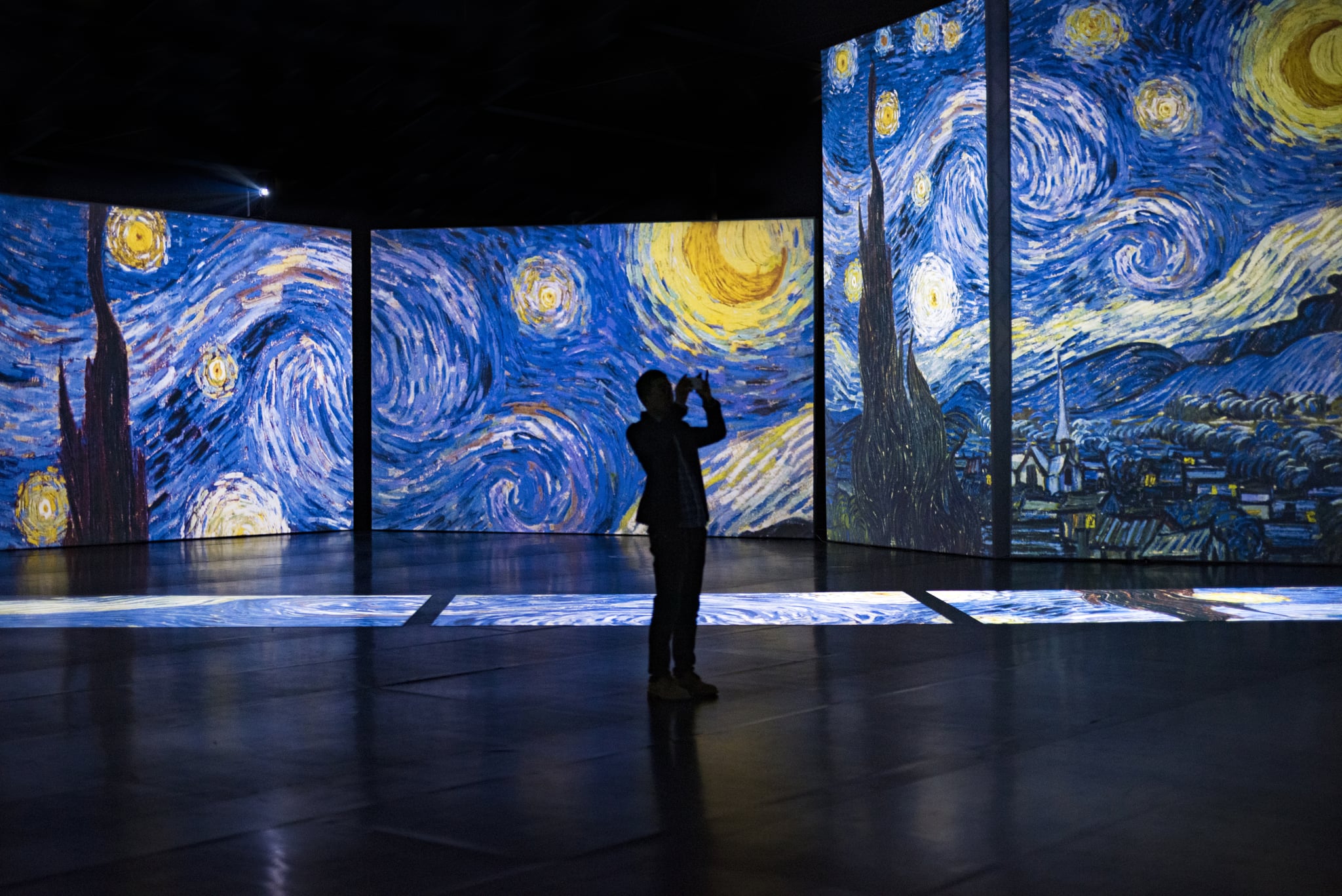Van Gogh Alive: Immersive Exhibition