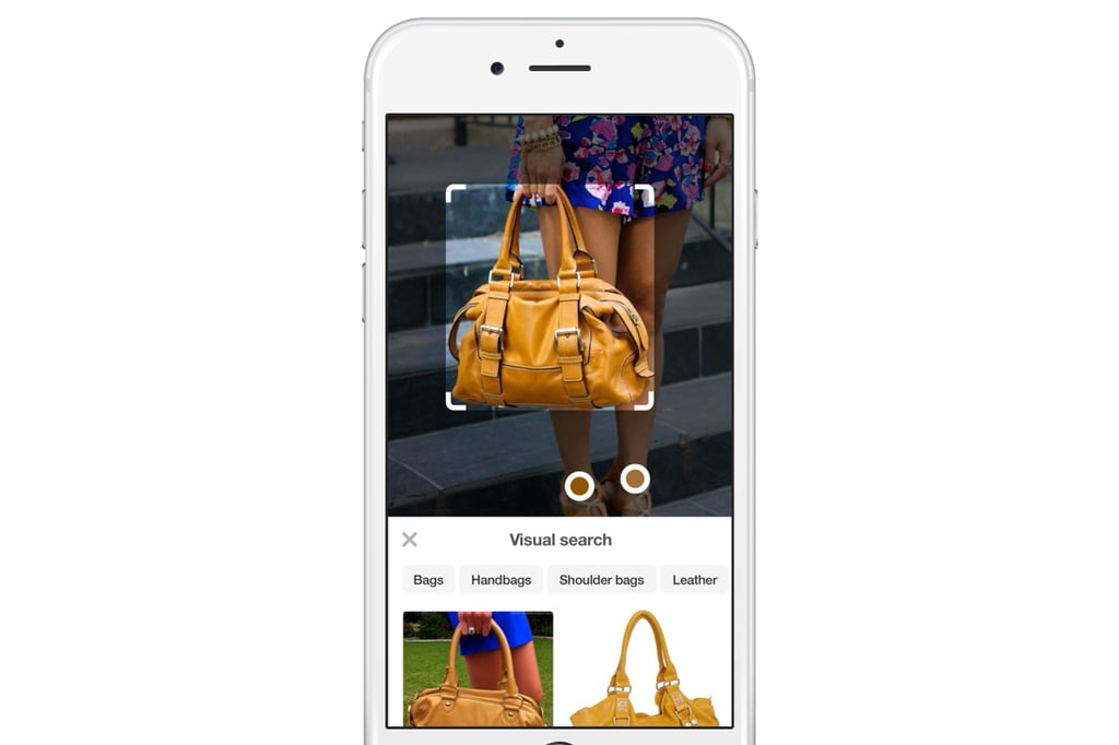 Here's what the visual search looks like on a pin.