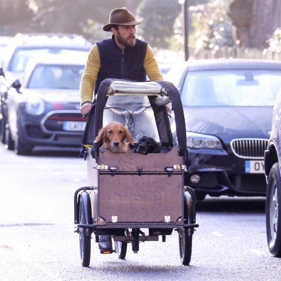 James Middleton Riding Bike With His Dogs Feb. 2019