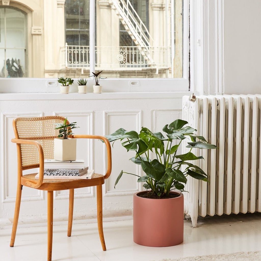 Brathwaite Ceramic Pot Planter These 21 Cool Plant Pots Will Bring So Much Joy Into Your Home Popsugar Home Photo 14