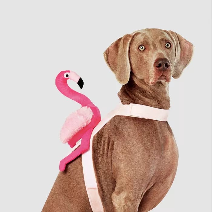Flamingo Rider Dog and Cat Costume
