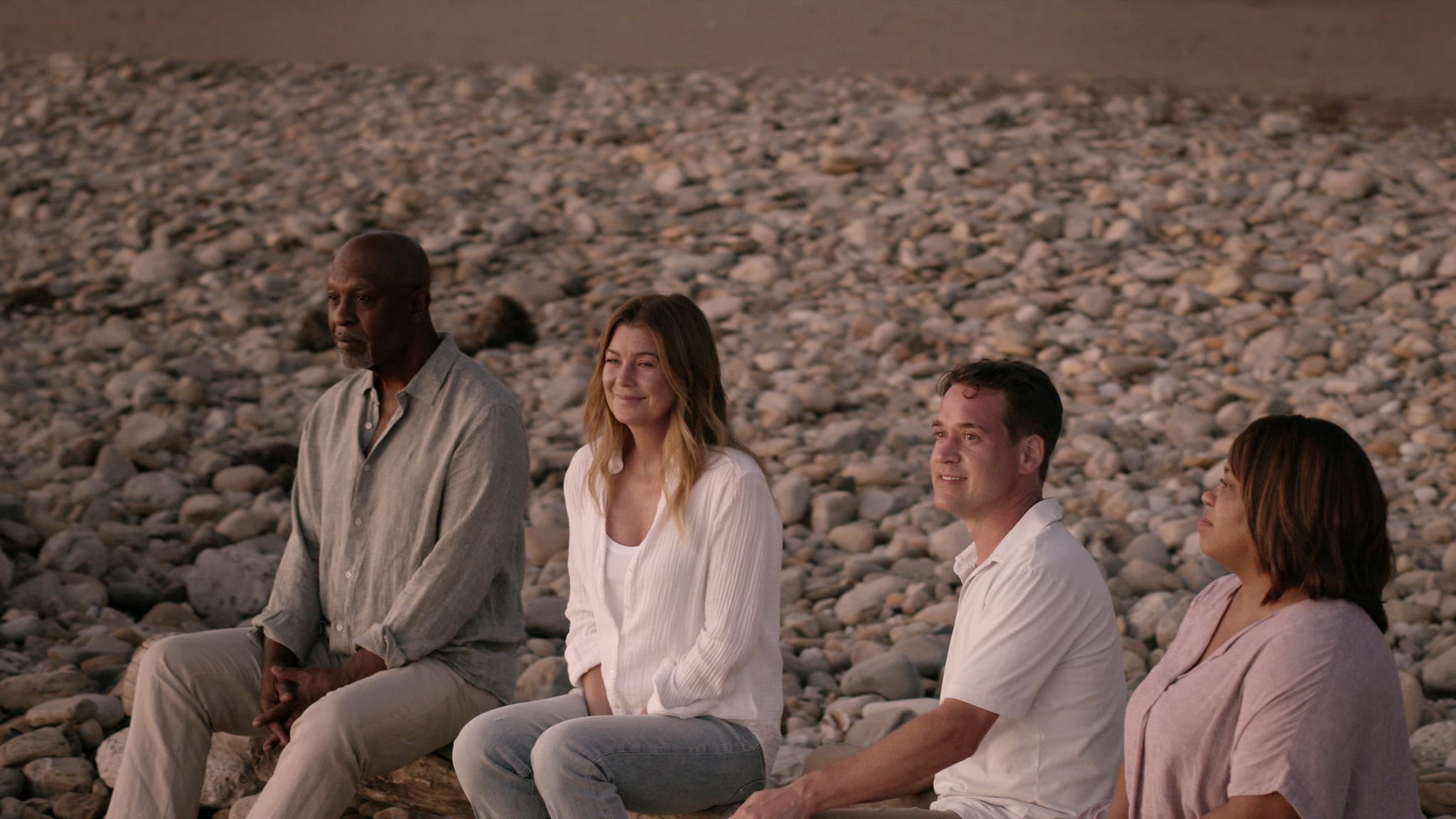 GREYS ANATOMY - Youll Never Walk Alone  Owen faces a medical diagnosis that challenges more than he imagined. Meanwhile, Koracick begins to go stir crazy; and Maggie gets a not-so-subtle glimpse into Winstons background on Greys Anatomy, THURSDAY, DEC. 3 (9:00-10:01 p.m. EST), on ABC. (ABC)JAMES PICKENS JR., ELLEN POMPEO, T. R. KNIGHT, CHANDRA WILSON