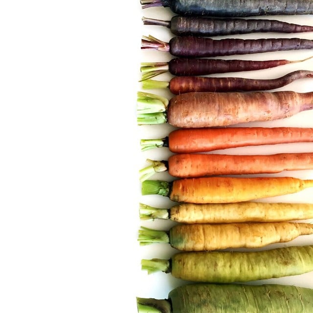 She's the master of "food gradient" photos.
