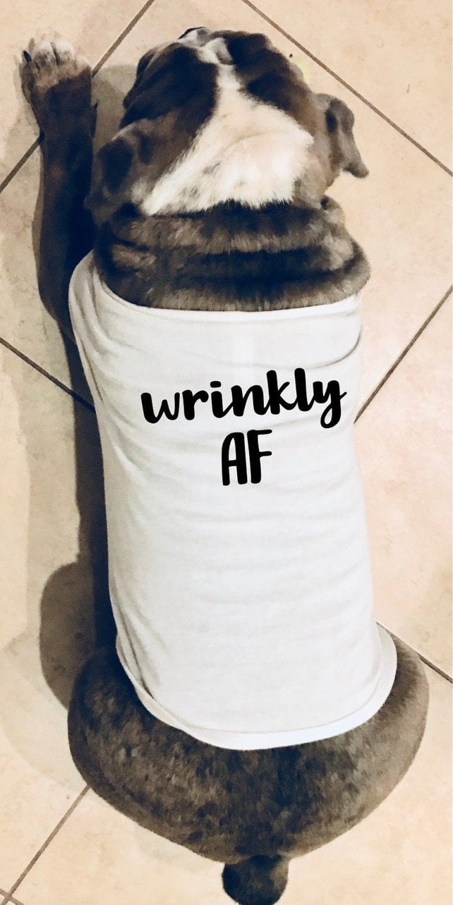 Wrinkly AF Funny Dog Shirt