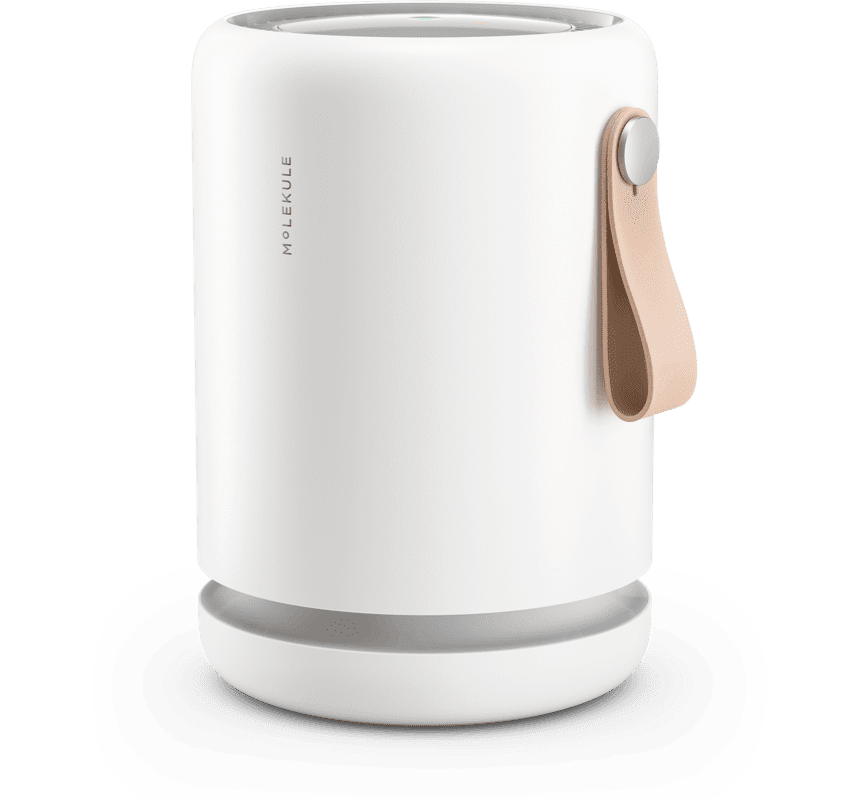 Molekule Air Mini Purifier