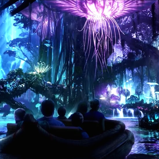 Pandora Avatar Land in Disney's Animal Kingdom