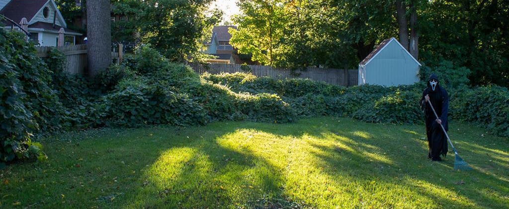 Real Estate Agent Poses as Ghostface in Listing Pictures