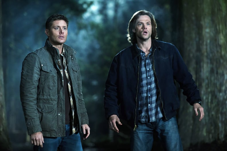 Sam and Dean Winchester From "Supernatural"