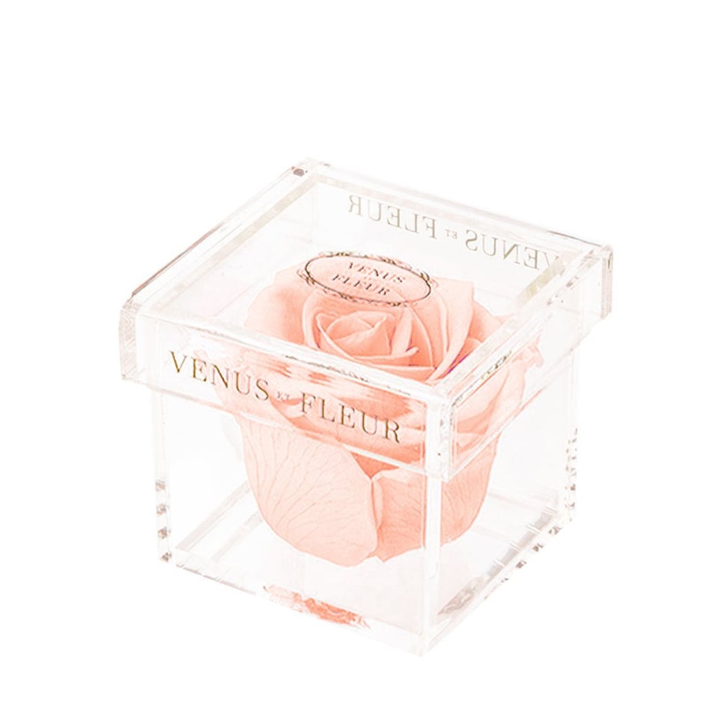 Venus Et Fleur Le Clair Un in Blush