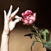 Rose Beauty Products