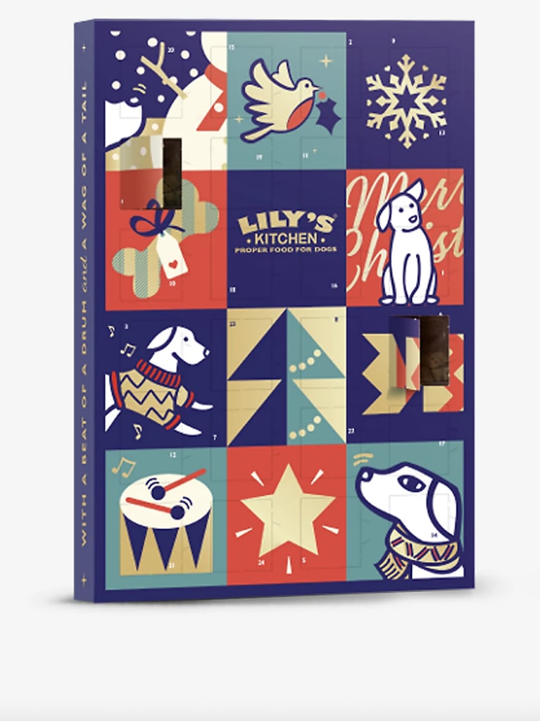 Selfridges Dog Advent Calendar 2023