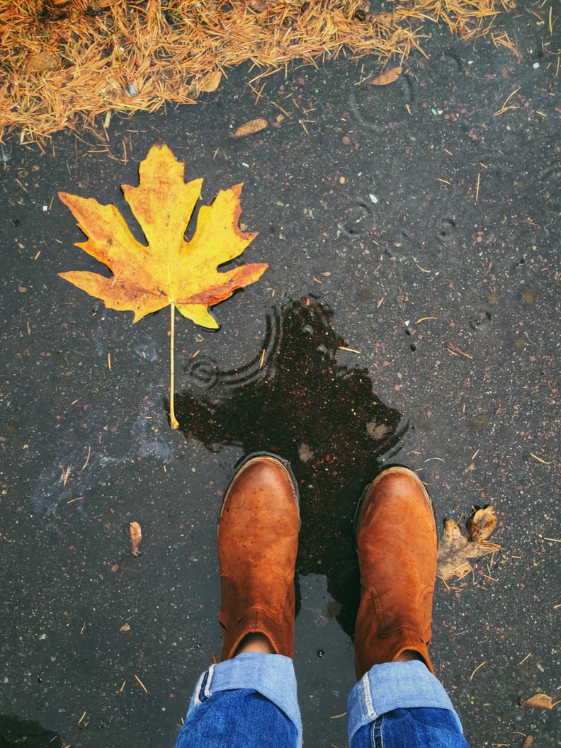 Fall Background: Puddle iPhone Wallpaper