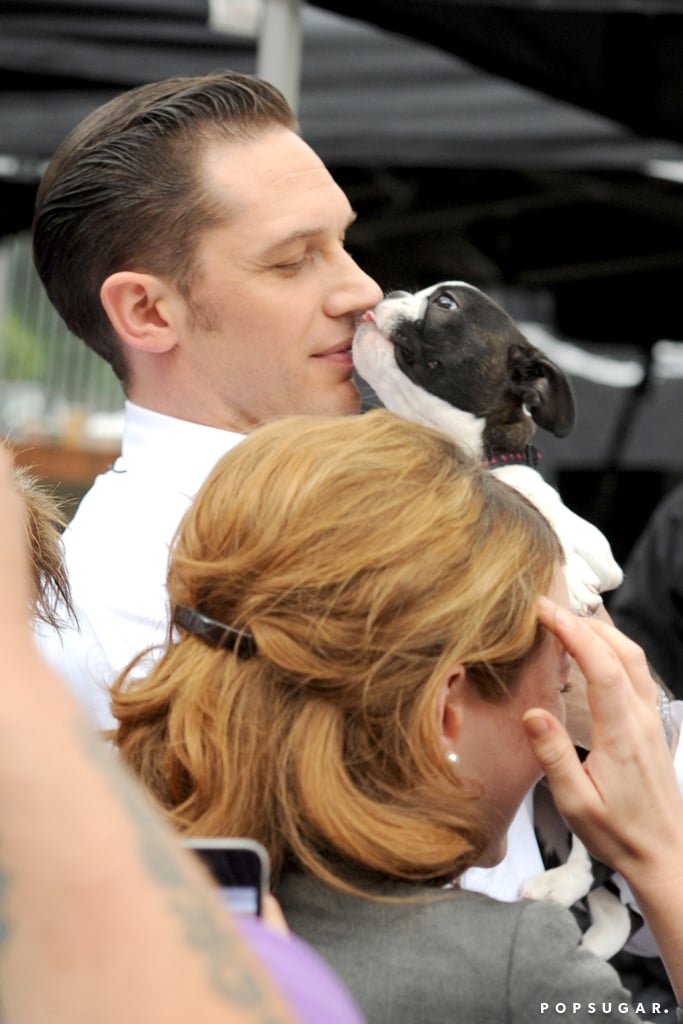 Tom Hardy With a Dog on the Set of Legend