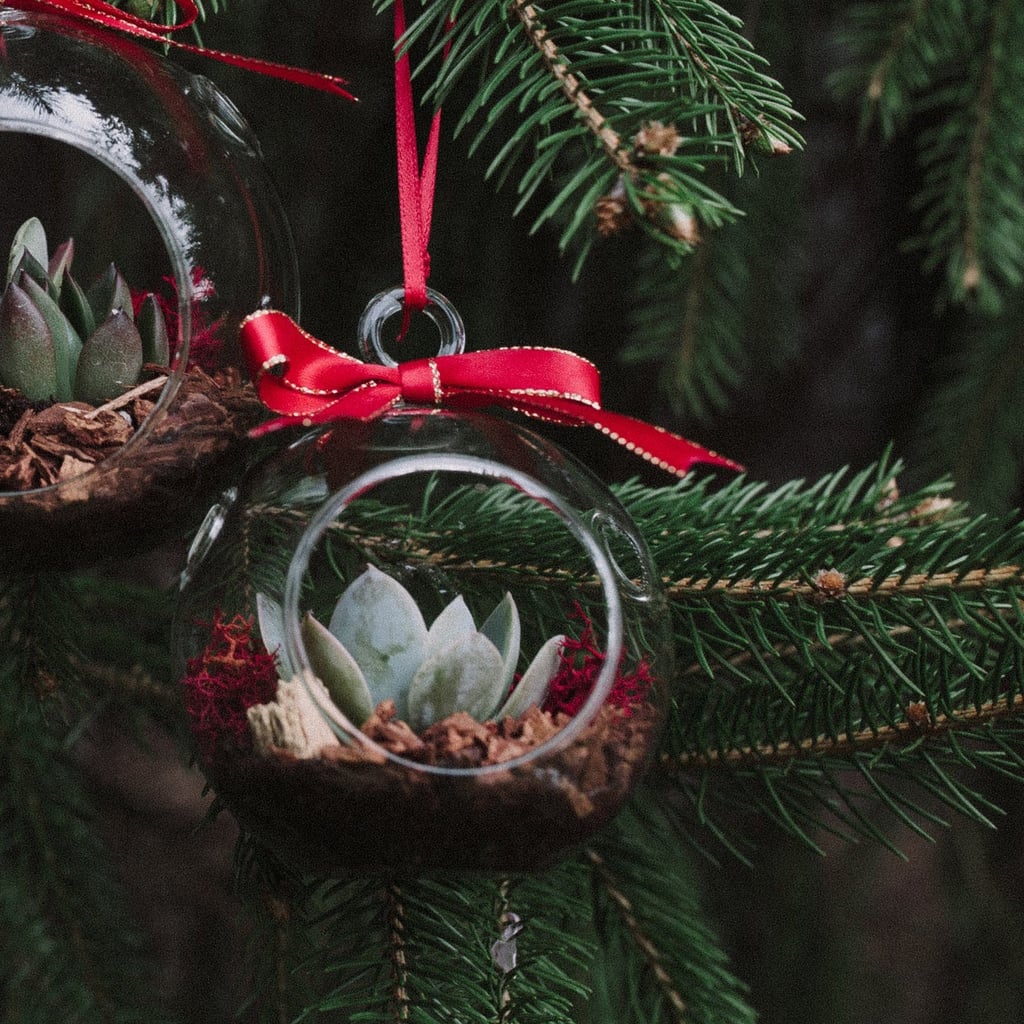 Etsy Mini Succulent Christmas Ornament Shop Etsys Plant Terrarium