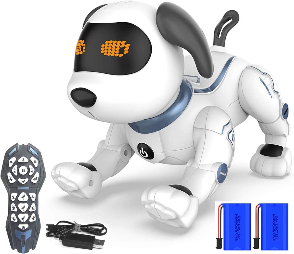 For the Ones Who Want a Pet: HBUDS RC Stunt Programmable Robot Puppy