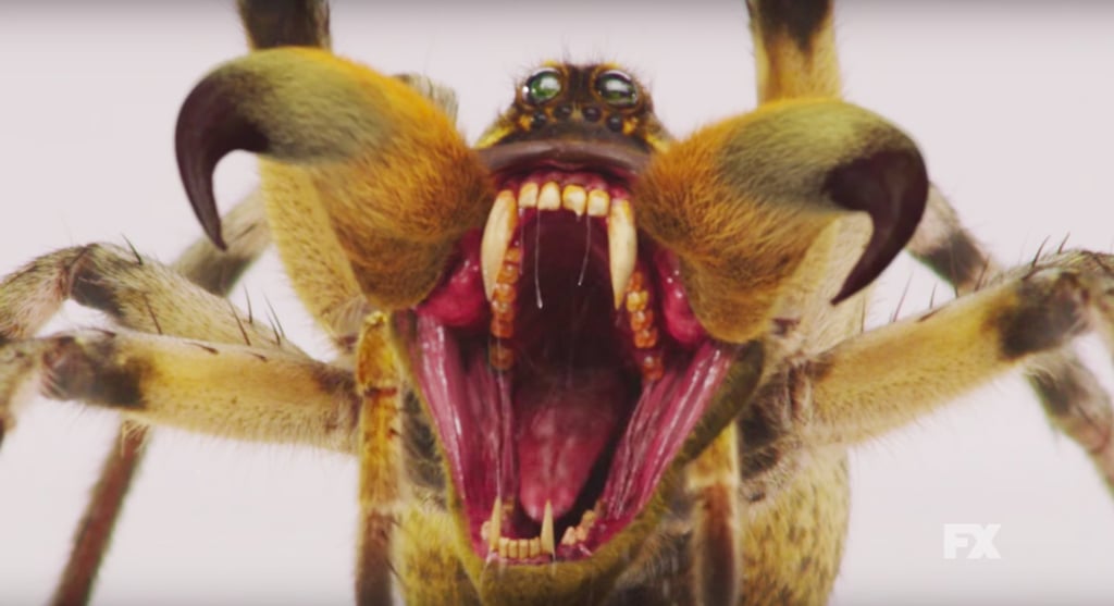 American Horror Story Season 6 Teasers