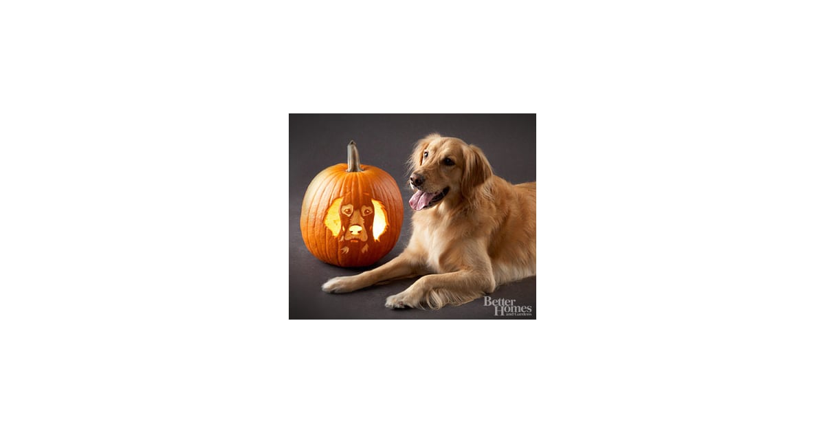golden-retriever-pumpkin-pattern