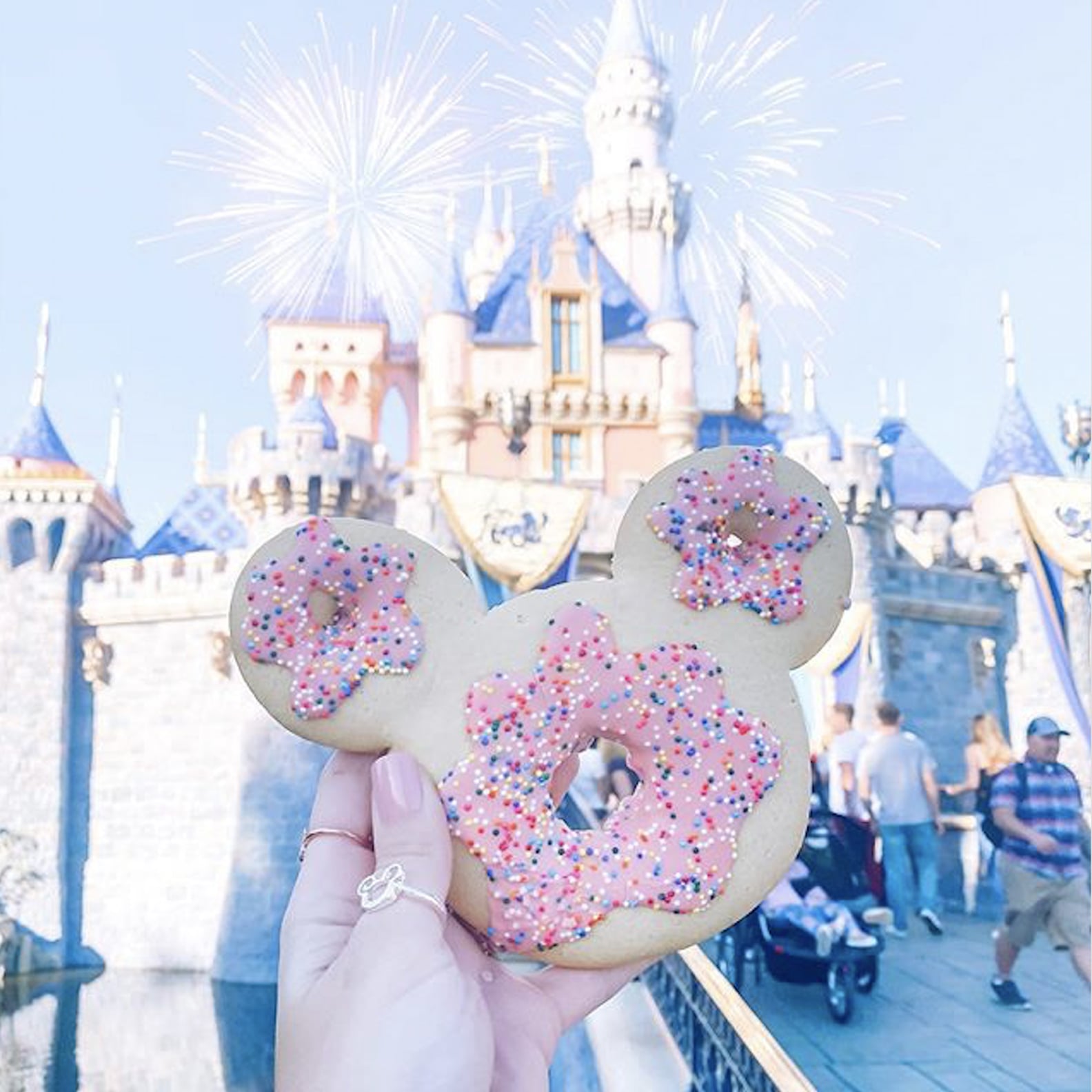 The Best Snacks at Disneyland POPSUGAR Food