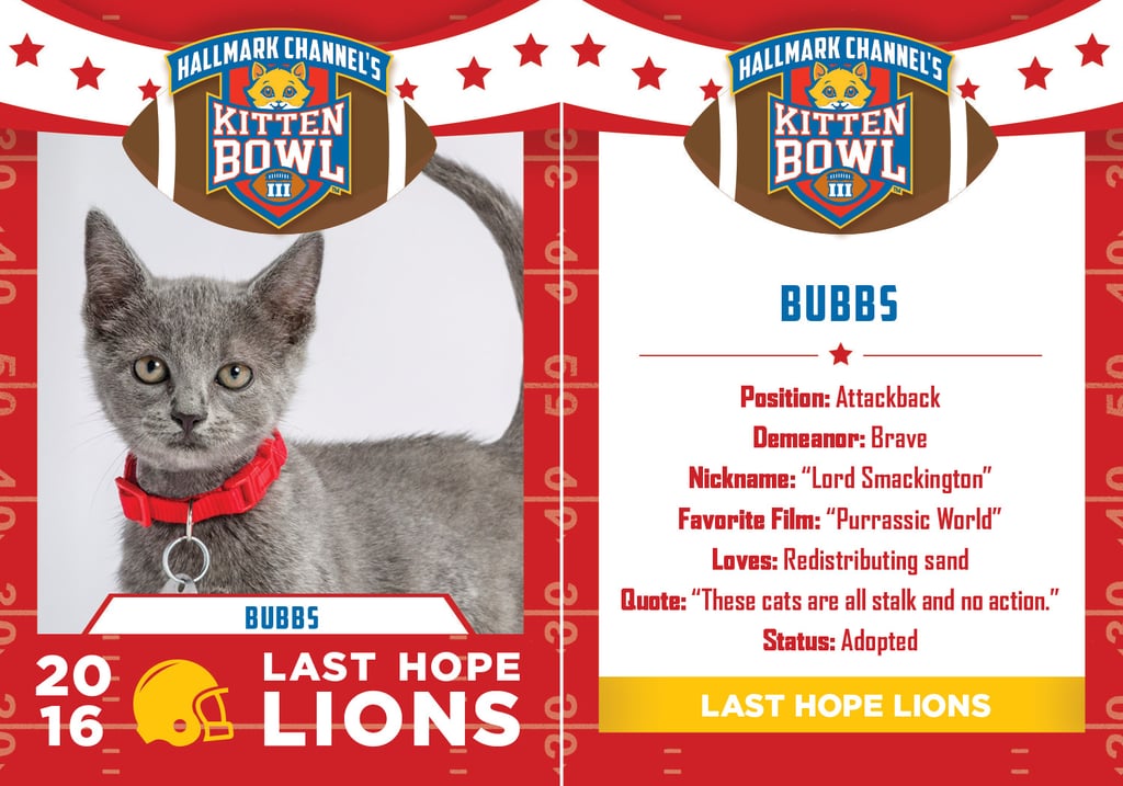 Kitten Bowl 2016